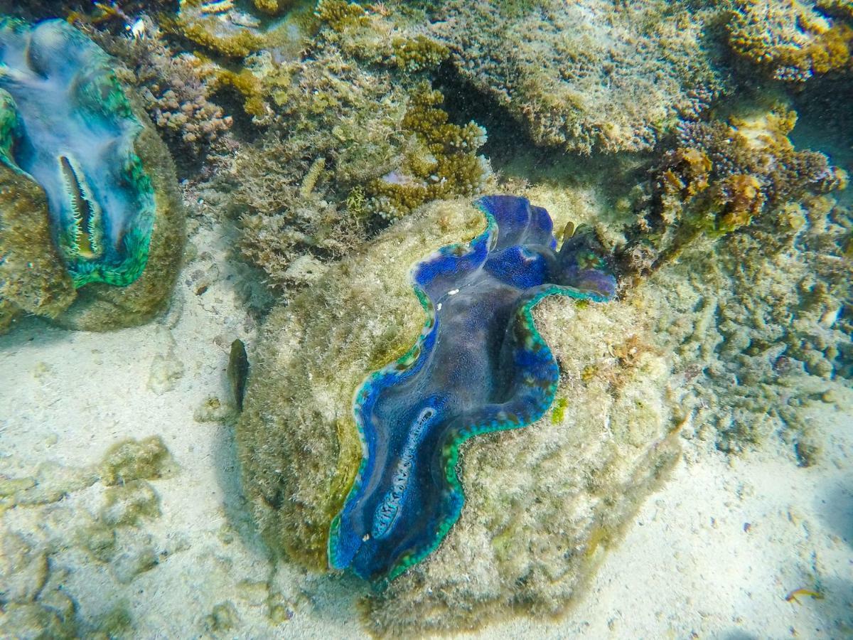 斐济维瓦岛度假村 Viwa Island 外观 照片